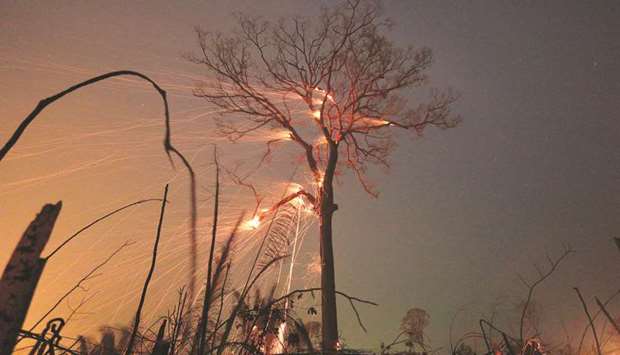 A tract of Amazon jungle burns as it is cleared by farmers in Rio Pardo, Rondonia, Brazil.