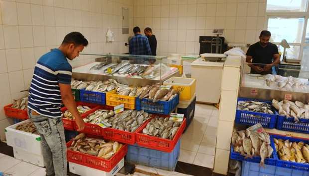 Further drop in fish prices expected by mid next month