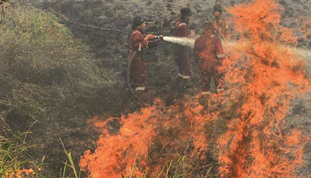 Firefighters battle a blaze at a peatland forest in Ogan Ilir, South Sumatra yesterday.