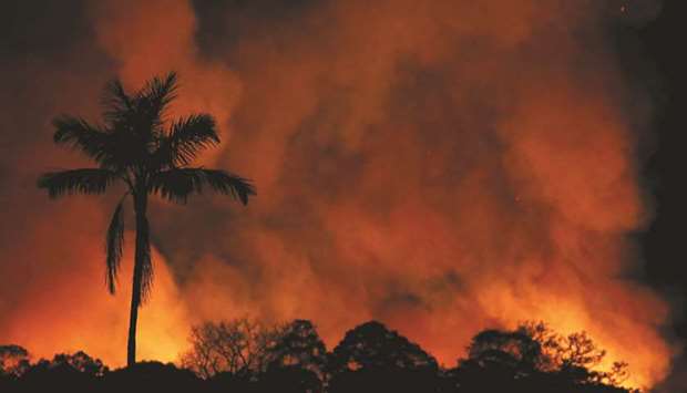 A fire burns a tract of Amazon jungle as it is cleared by loggers and farmers near Porto Velho, Brazil.