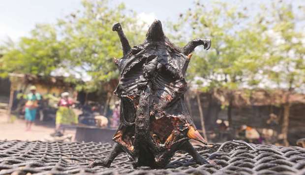 A smoked pangolin sits on a wire mesh along the Ife-Ibadan road in Nigeriau2019s Ondo Akoko town.