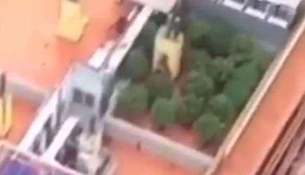 As the helicopter tracked the cyclists the camera panned over the rooftop in Igualada in Catalonia revealing the plants