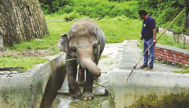 This picture taken earlier this month shows Amir Khalil, head of project development at Four Paws International, with Kaavan, an elephant at the Marghazar Zoo in Islamabad.