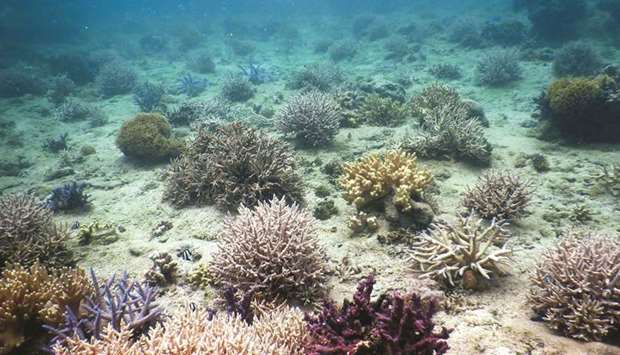 Fiji's Coral Coast. (AFP)