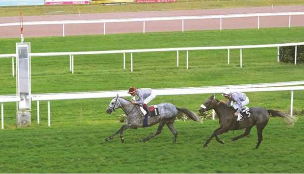 Jean-Bernard Eyquem rides Almafjar to victory at the French Arabian Breeders Challenge Sprint at Bordeaux-Le-Bouscat. (Laurent Ferriere)