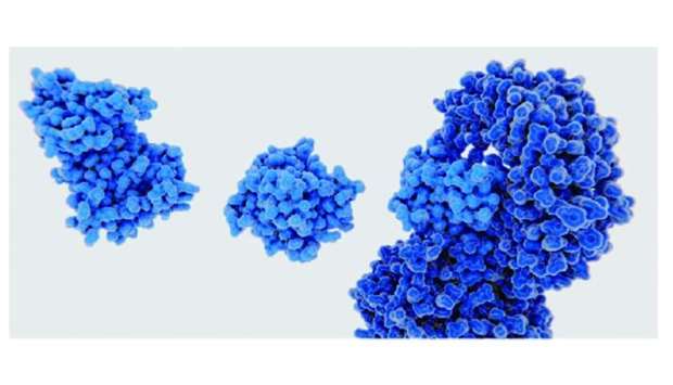 The College of Health and Life Sciences (CHLS) at Hamad Bin Khalifa University (HBKU) recently presented a talk by Dr Vishva M Dixit, vice president of Early Discovery Research at Genentech Inc., and one of the worldu2019s most eminent biomedical science researchers.