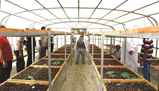 The event aimed to educate and guide farm owners, as well as raise awareness, on how to use the date drying rooms.
