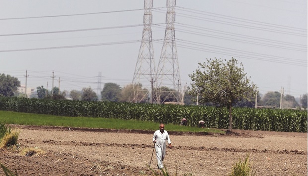 A farmer walks beside electricity pylons near an agricultural road which leads to Cairo (file). Egypt has a power surplus after installing three huge gas-fired power plants built by Siemens from 2015.