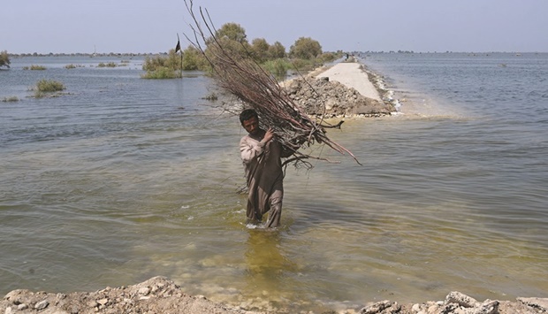 A flood-affected man carrying firewood wades through a flooded area after heavy monsoon rains on the outskirts of Jacobabad, Sindh province yesterday. (AFP)