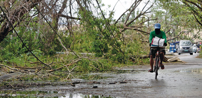 A cyclist passes damaged trees and an electricity post brought down by Typhoon Rammasun in Las Pinas city, south of Manila yesterday.