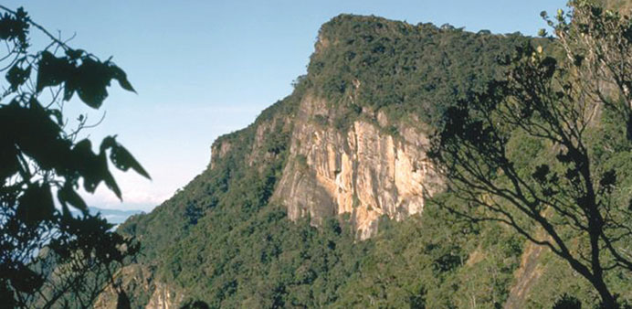  The Worldu2019s End cliff is a key tourist attraction in Sri Lanka. 