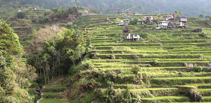 The Cordillera ranges is one of the Philippinesu2019 most spectacular regions where Ifugao tribespeople are custodians of World Heritage-listed rice terra