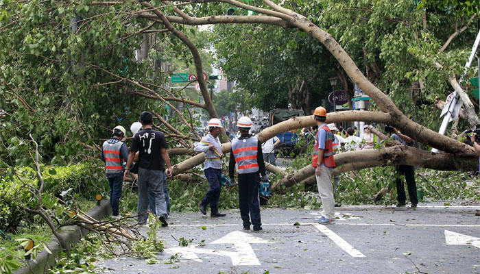 Workers remove trees uprooted by strong winds from Typhoon Dujuan, in Taipei, Taiwan. Reuters