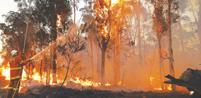A firefighter attempts to extinguish a bushfire in Castlereagh, near Sydney yesterday.