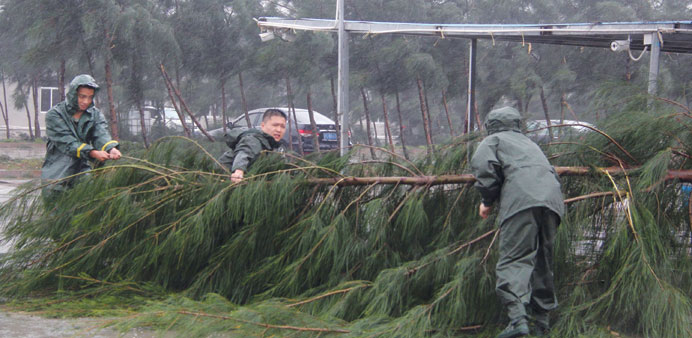 People try to remove a bough from a street as Typhoon Mujigae hits Maoming, Guangdong province, China yesterday.