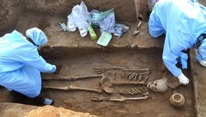 One of the four complete human skeletons excavated. Picture courtesy: BBC