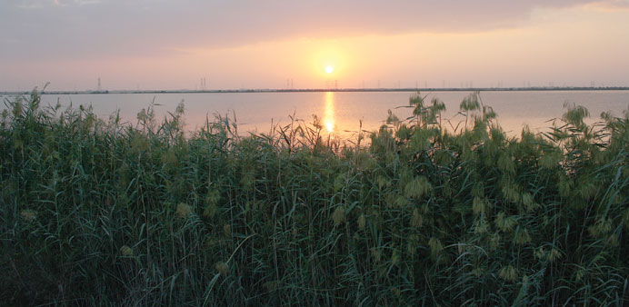 MAN-MADE: The sun sets on Abu Nakhla wetland.