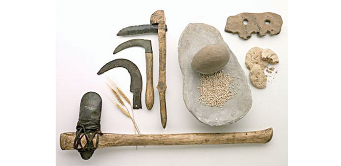 Some of the tools from the Neolithic era.
