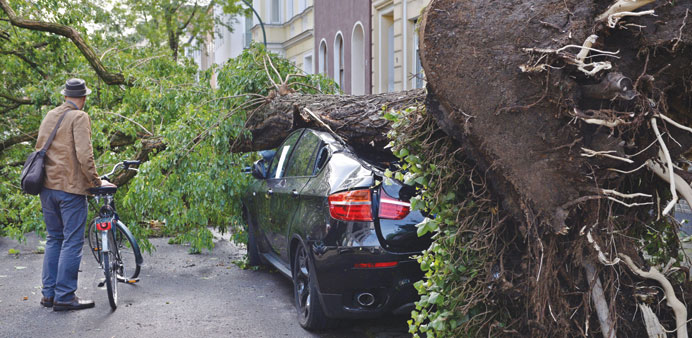 A cyclist views an uprooted tree that fell onto a car in Duesseldorf. North Rhine-Westphalia was hit by the most violent storm in years on Monday.