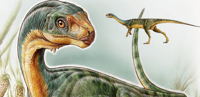 Chilesaurus diegosuarezi 