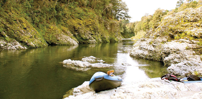  Kayak the Pelorus River in the wake of barrel-bobbing dwarves. 