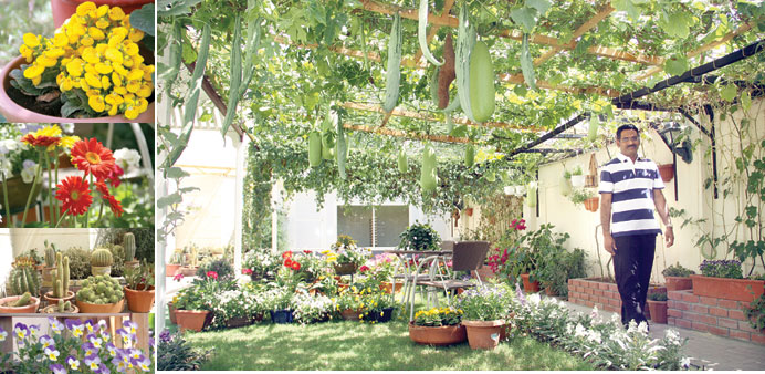 * Mibu Jose in his garden in his D-Ring Road home.