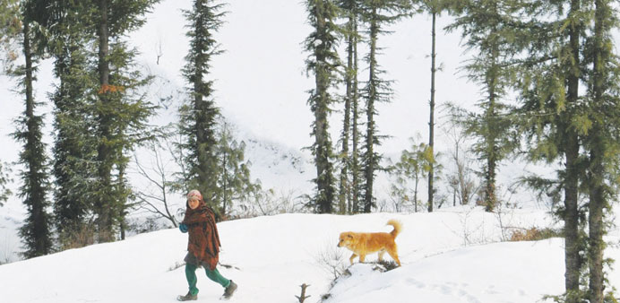 A woman walks her dog after a fresh snowfall at Kufri, some 17km from the northern hill town of Shimla yesterday.
